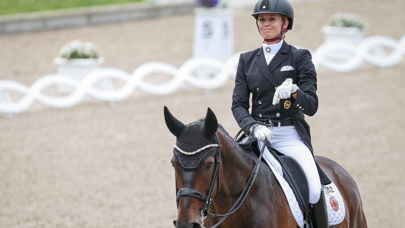 Dressur-Pferd-Diallo-tot-War-das-Bornavirus-am-Drama-schuld-