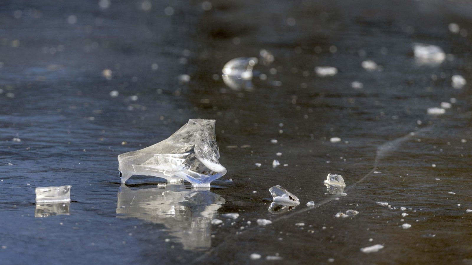 Lebensgefahr-Stadt-Essen-warnt-ausdr-cklich-davor-Eisfl-chen-zu-betreten