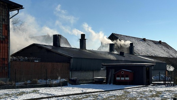 Schweinestall in Klein Flöthe fängt Feuer – Tiere verenden