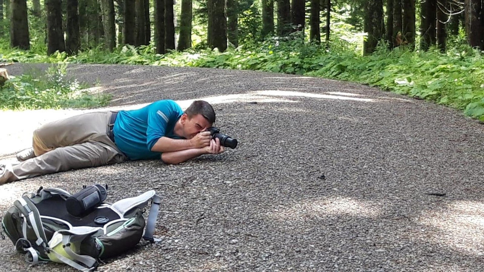 Makrofotografie-im-Harz-Gittelder-Fotograf-zeigt-verborgene-Sch-nheit-der-Natur
