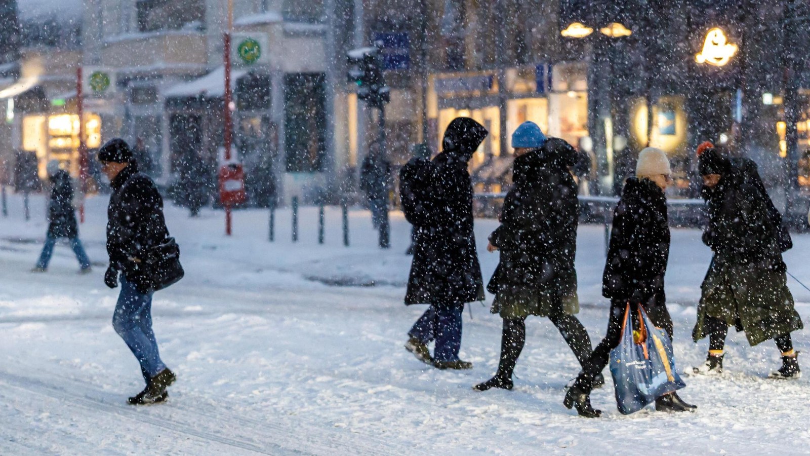 -Ruhe-bewahren-trotz-Schnee-Hamburger-Rewe-Center-reagiert-auf-Hamsterk-ufe