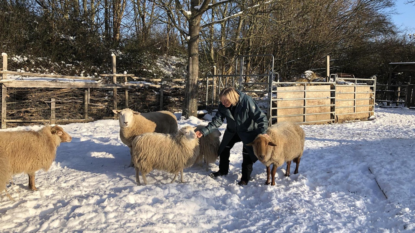 -kogarten-Peine-deshalb-leiden-die-Tiere-unter-Eis-und-Schnee