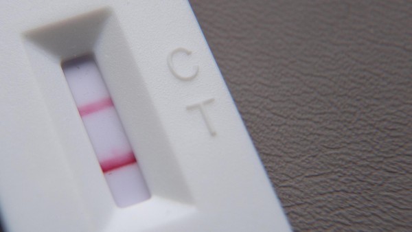 „Cicada“: Was über die aktuell häufigste Covid-Mutation bekannt ist