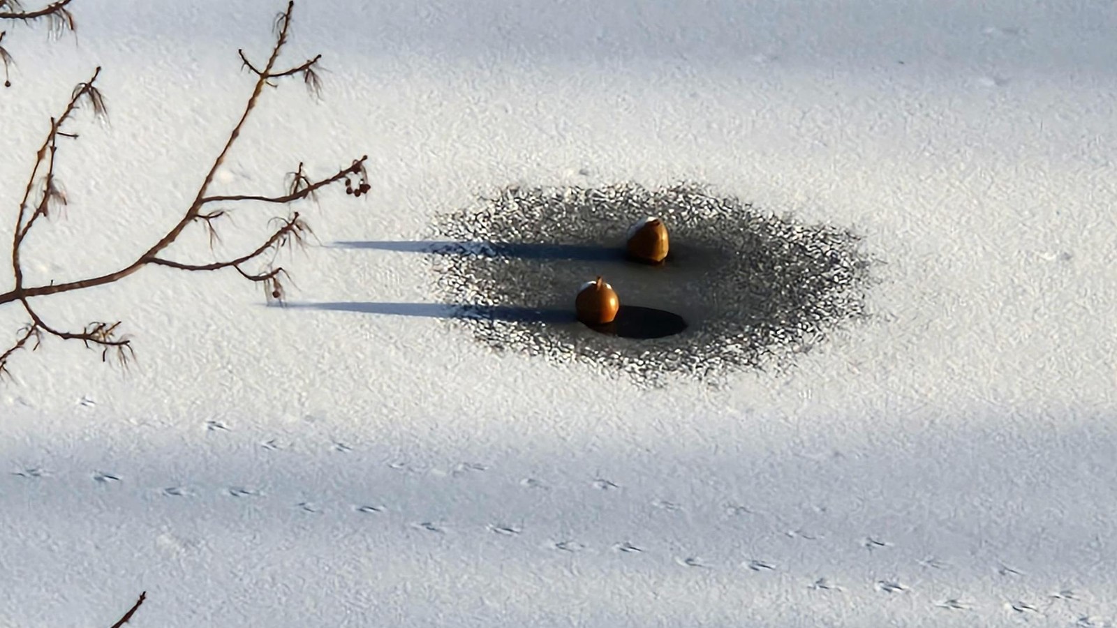 Lebensgefahr-und-Faszination-So-sch-n-und-gef-hrlich-ist-Hattingens-Eis