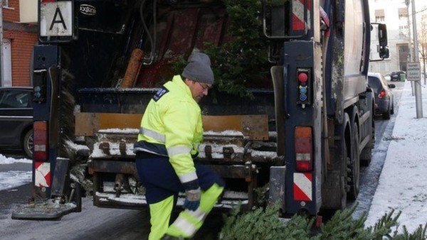 Darum werden die Weihnachtsbäume in Braunschweig später eingesammelt