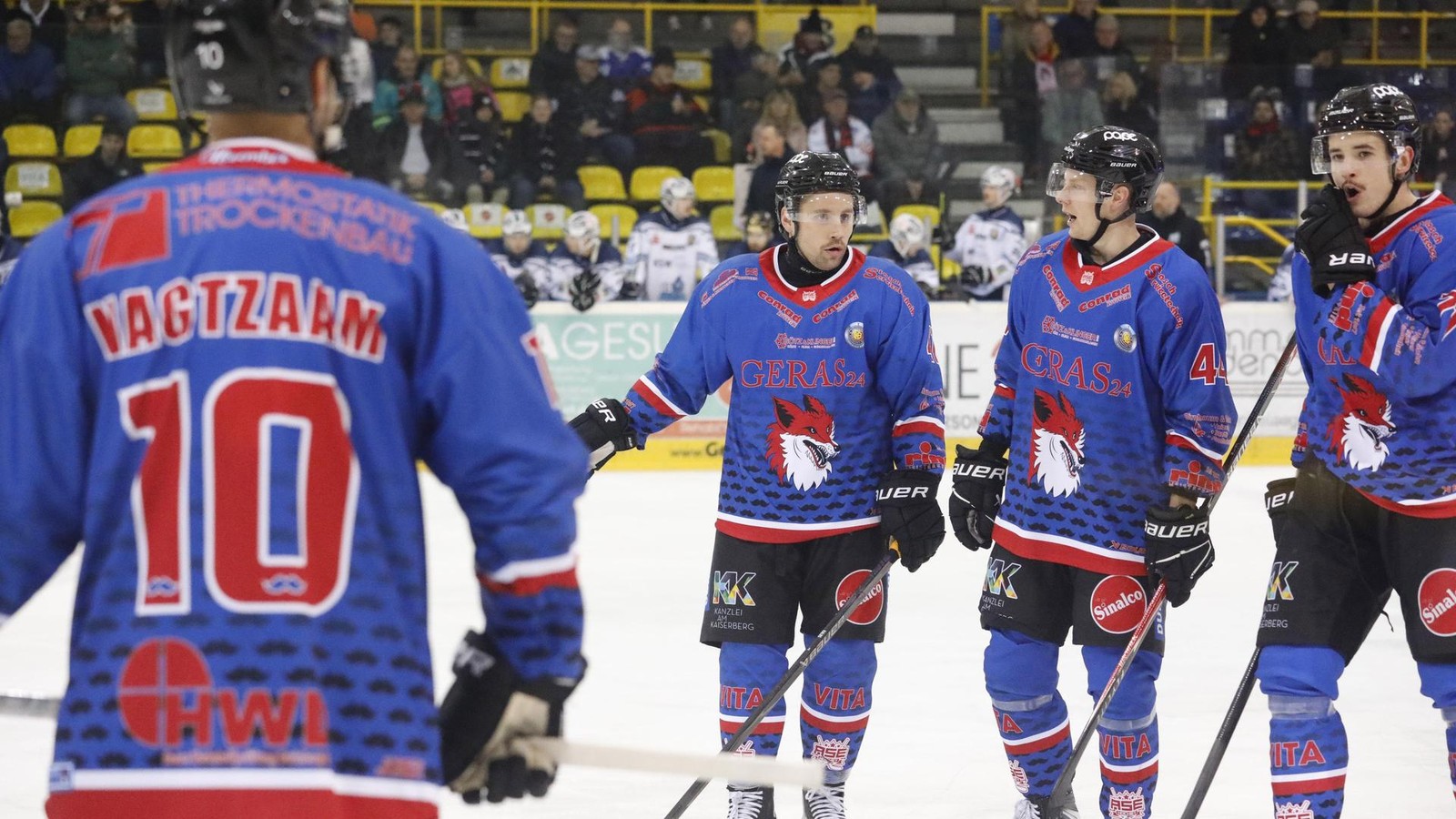 F-chse-Neuzugang-Philippe-Sanche-springt-ins-kalte-Wasser