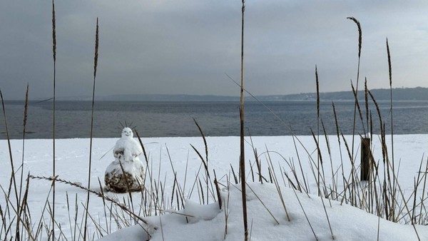 Winter hat Norden im Griff – Schulausfälle in neun Kreisen