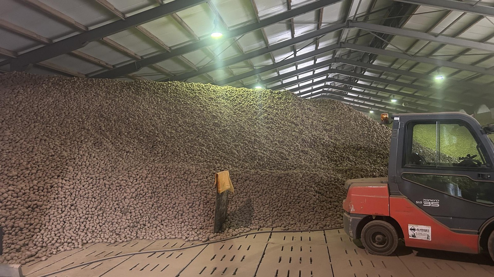 Vier-Millionen-Kilo-Kartoffeln-suchen-ein-Zuhause