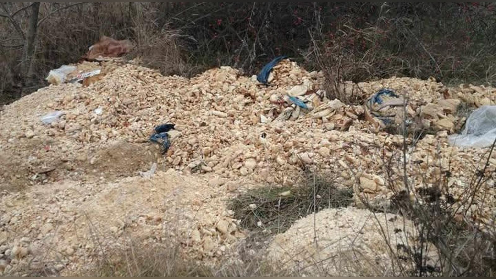 Teigberge-bei-Stotternheim-Wer-kippt-Brote-auf-ein-Feld-