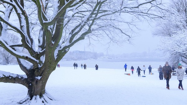 Temperaturen bis minus 11 Grad – wann gibt es ein Alstereisvergnügen?
