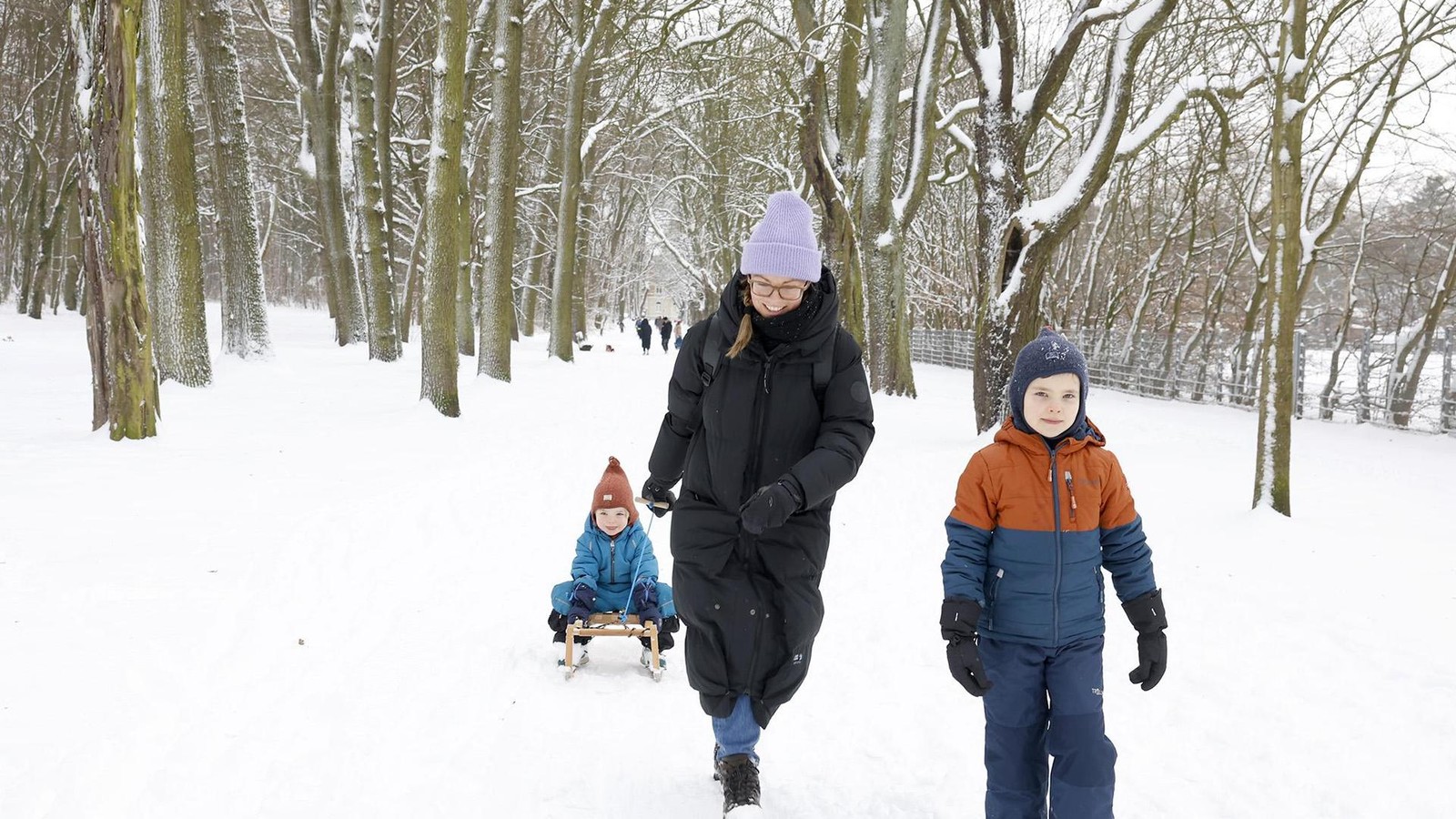 Schneeh-hen-und-Neuschnee-Die-Lage-in-der-Region-Braunschweig-Harz