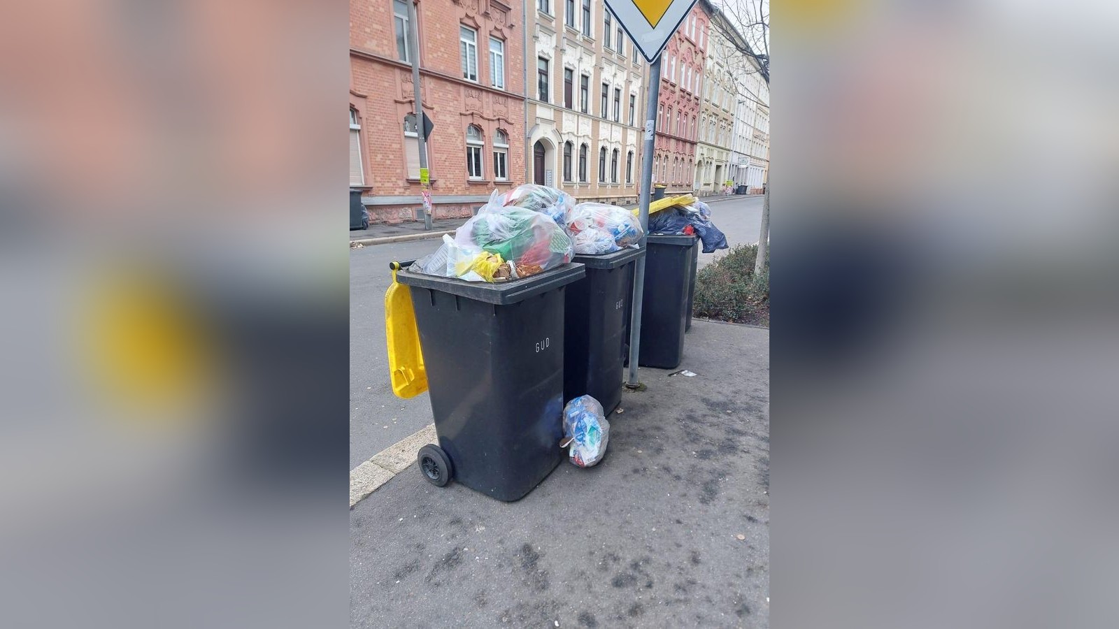 Tonne-raus-Tonne-rein-in-Gera-Das-M-ll-Problem-frisst-Zeit-und-Kosten