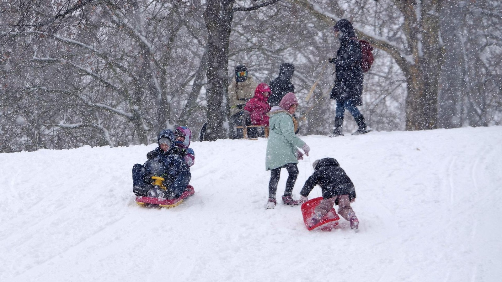 Schlittenspa-in-Wolfenb-ttel-Die-besten-Rodelpisten-in-Stadt-und-Landkreis