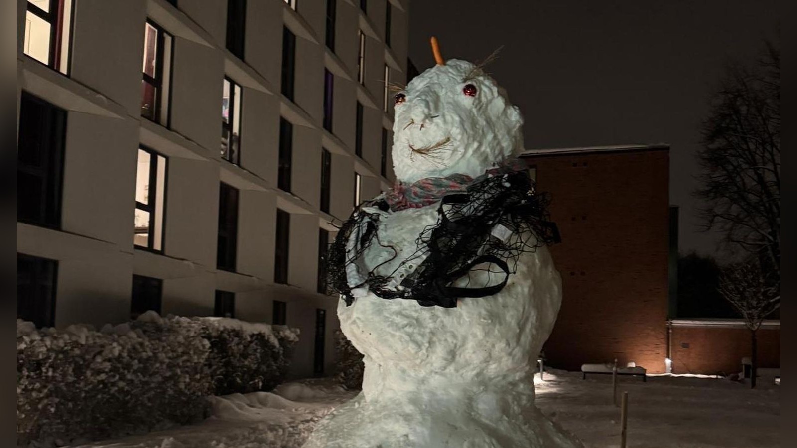 Steht-Hamburgs-gr-ter-Schneemann-in-Lokstedt-Studierende-bauen-XXL-Schneemil-