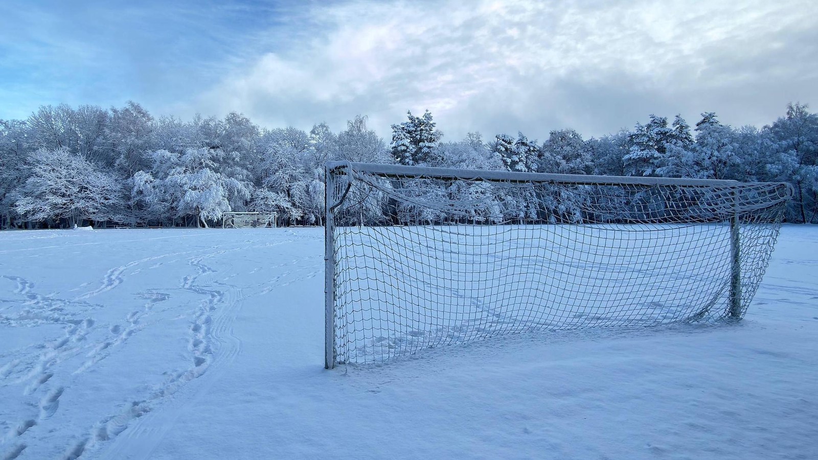 Nach-Elli-Wann-auf-Hamburgs-Fu-ballpl-tzen-wieder-gespielt-werden-kann