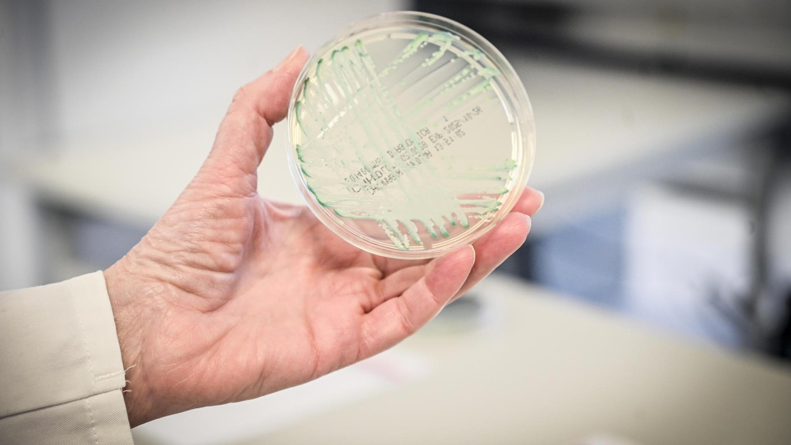 Veterin-ramt-warnt-Herne-liegt-in-Gefahrenzone-von-Seuche-Impfung-empfohlen