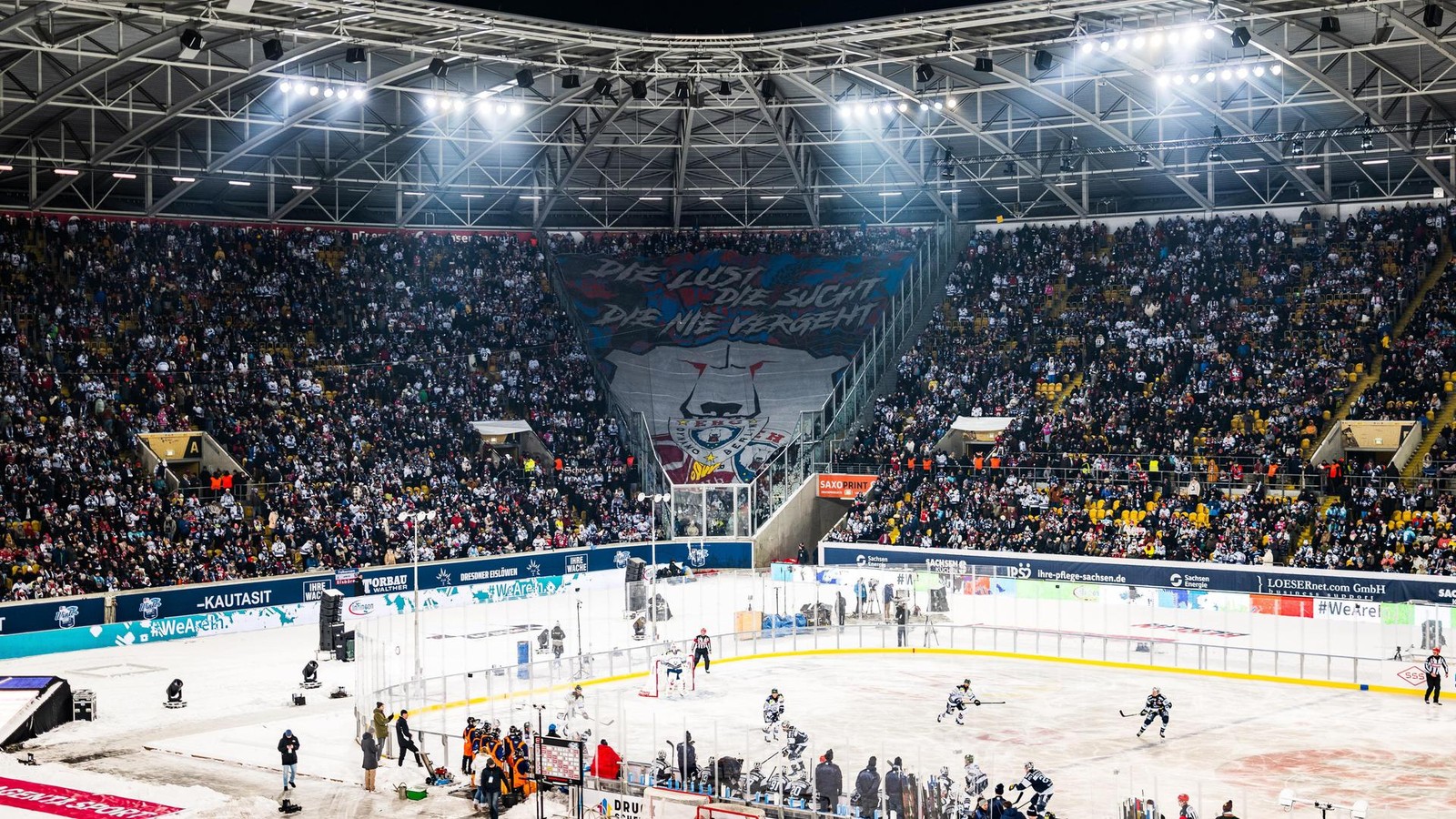 Eisb-ren-zittern-sich-zum-Sieg-im-frostigen-Winter-Game