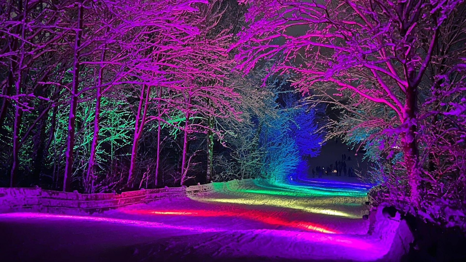 Witzige-Aktion-Bunt-beleuchtete-Rodelpiste-begeistert-in-Pinneberg