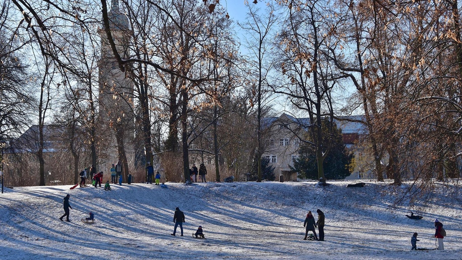 Familien-genie-en-Schnee-bei-Rodelspa-im-Stadtpark-in-Arnstadt