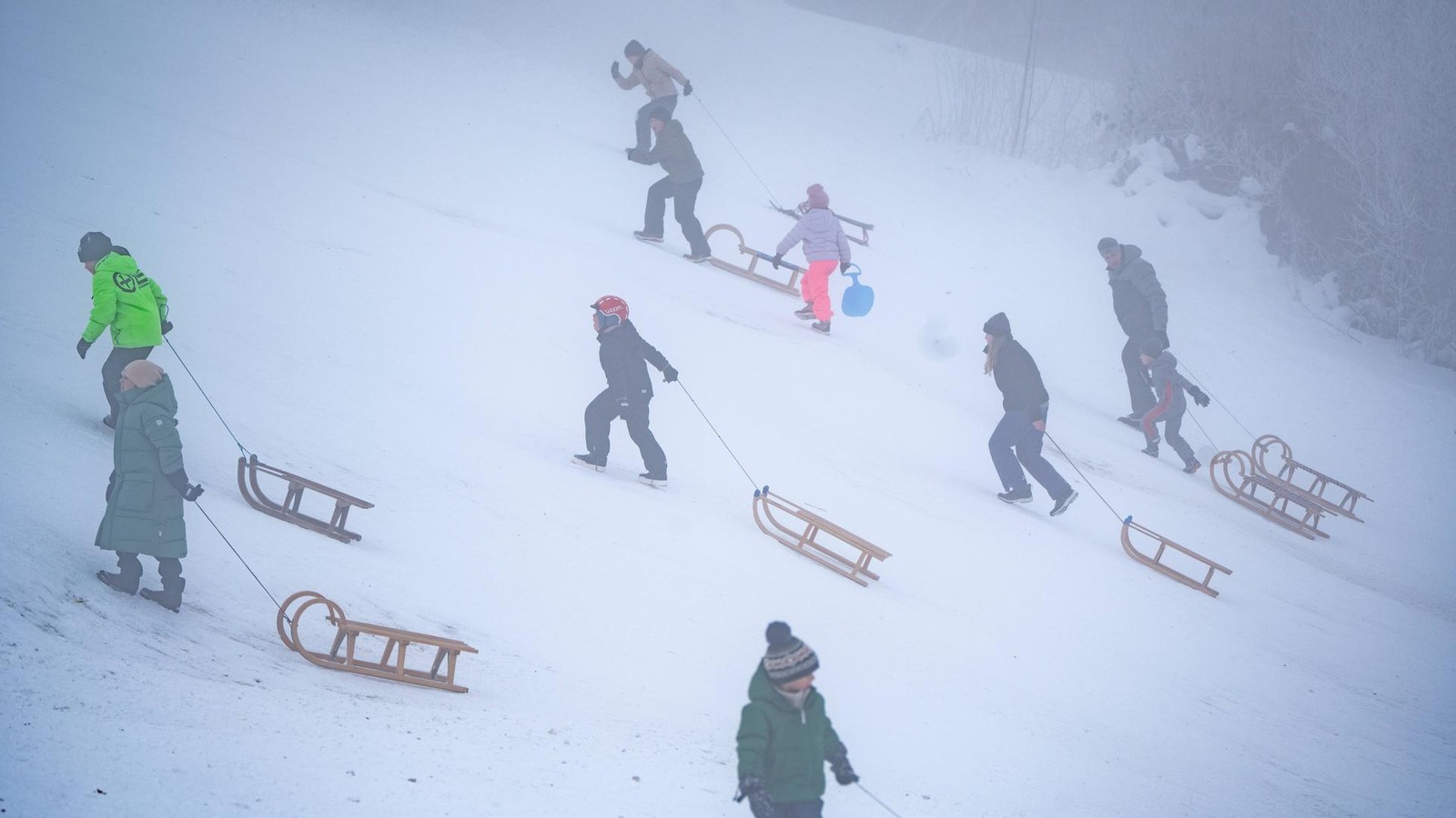 Schlitten-oder-Schule-Entscheidung-in-Hamburg-f-r-Montag-gefallen