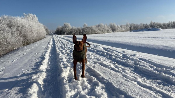 Wolfenbüttel als Winter-Wunderland – die 34 schönsten Fotos vom Wochenende