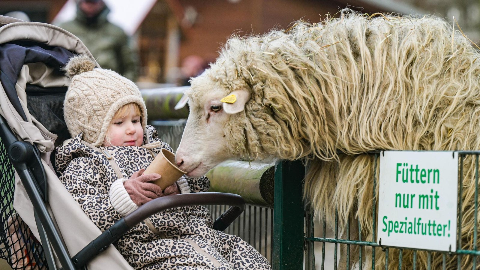 Tierischer-Winter-im-Kaisergarten-viele-sch-ne-Bilder