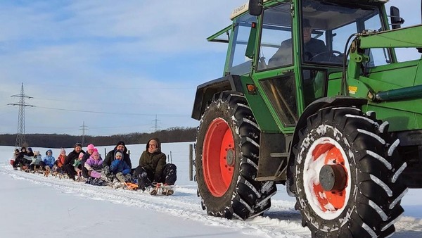 Die schönsten Winterbilder: So präsentiert sich der Landkreis Helmstedt im Schnee