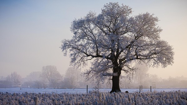 Ticker: Prognose für Region Braunschweig – wann Neuschnee kommen soll, wann Glatteis