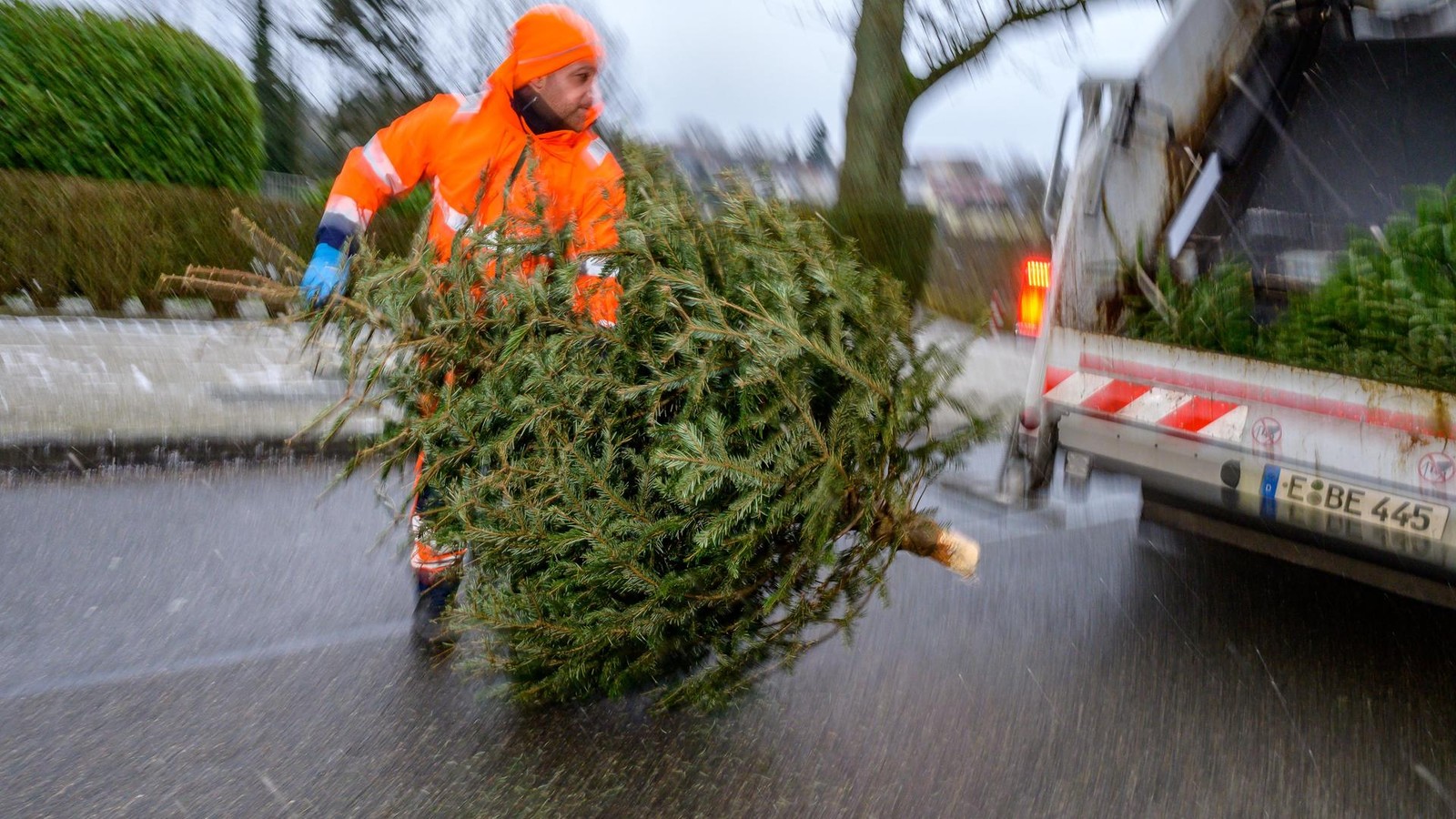 Tannenbaum-Abholung-in-Essen-startet-Das-sind-die-Termine-f-r-die-Stadtteile
