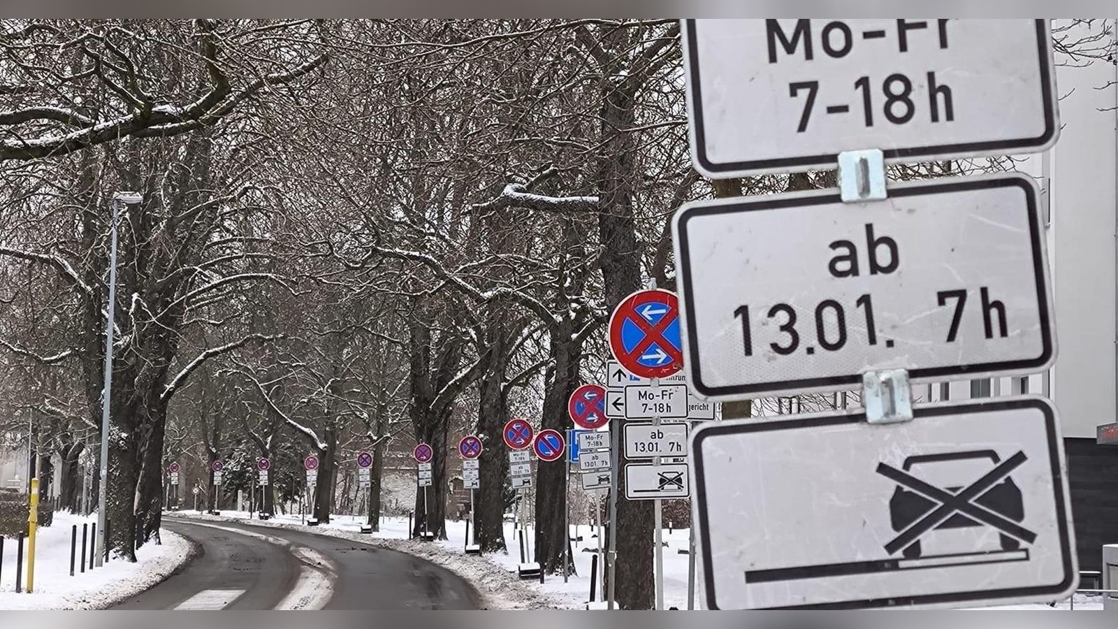 Hier-ist-in-Erfurt-pl-tzlich-ein-Schilderwald-gewachsen