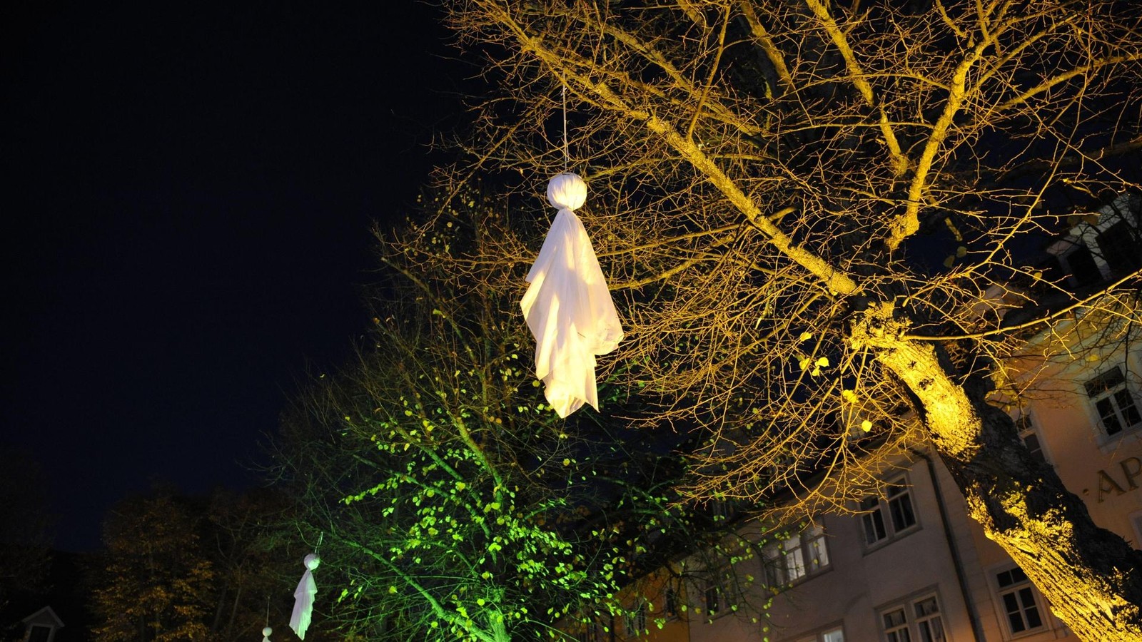 Baubeginn-f-r-Marktplatz-in-Arnstadt-steht-fest-Lindenb-ume-vor-der-F-llung