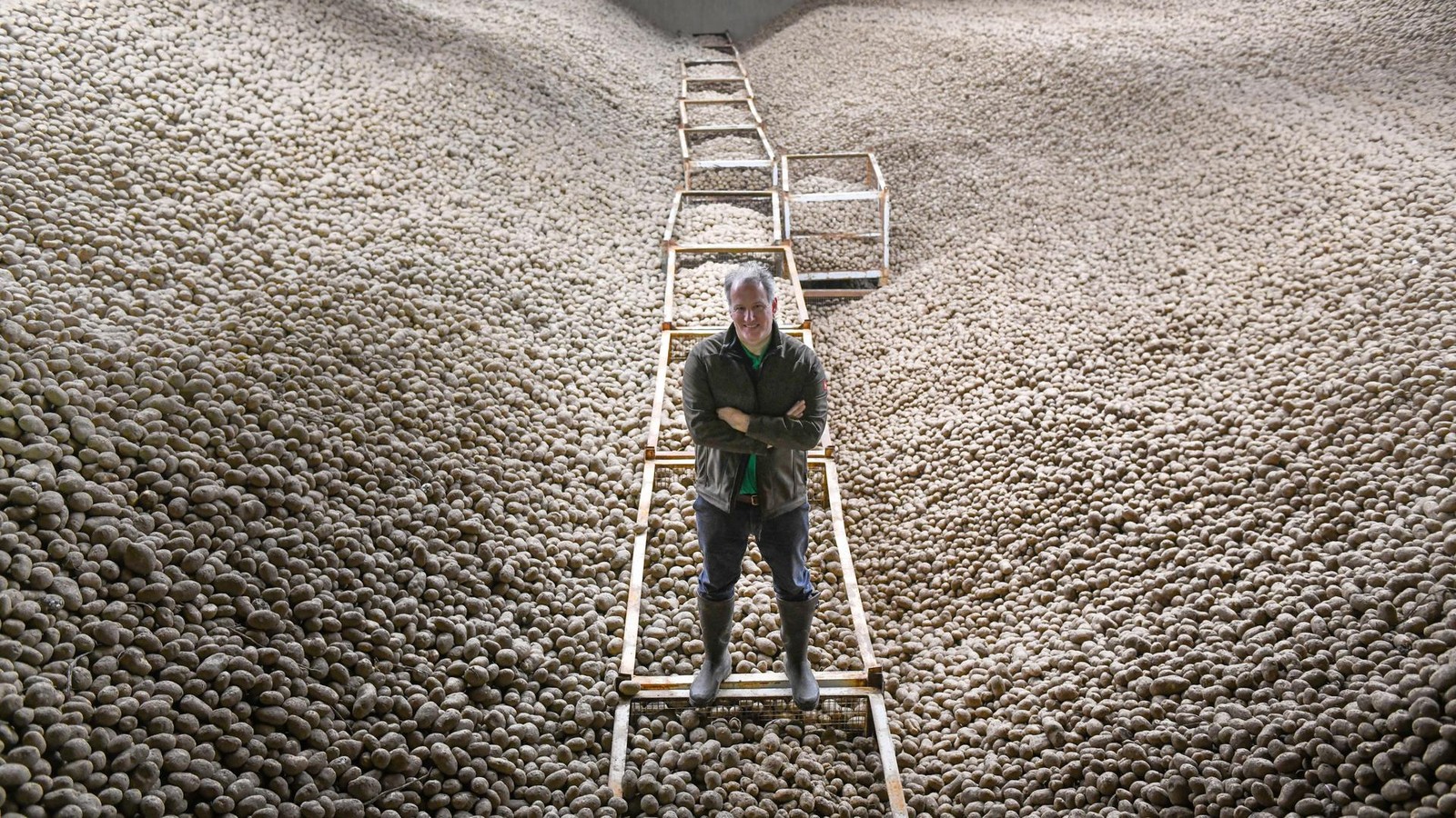 Hier-werden-tonnenweise-Kartoffeln-f-r-die-Morgenpost-Leser-verladen