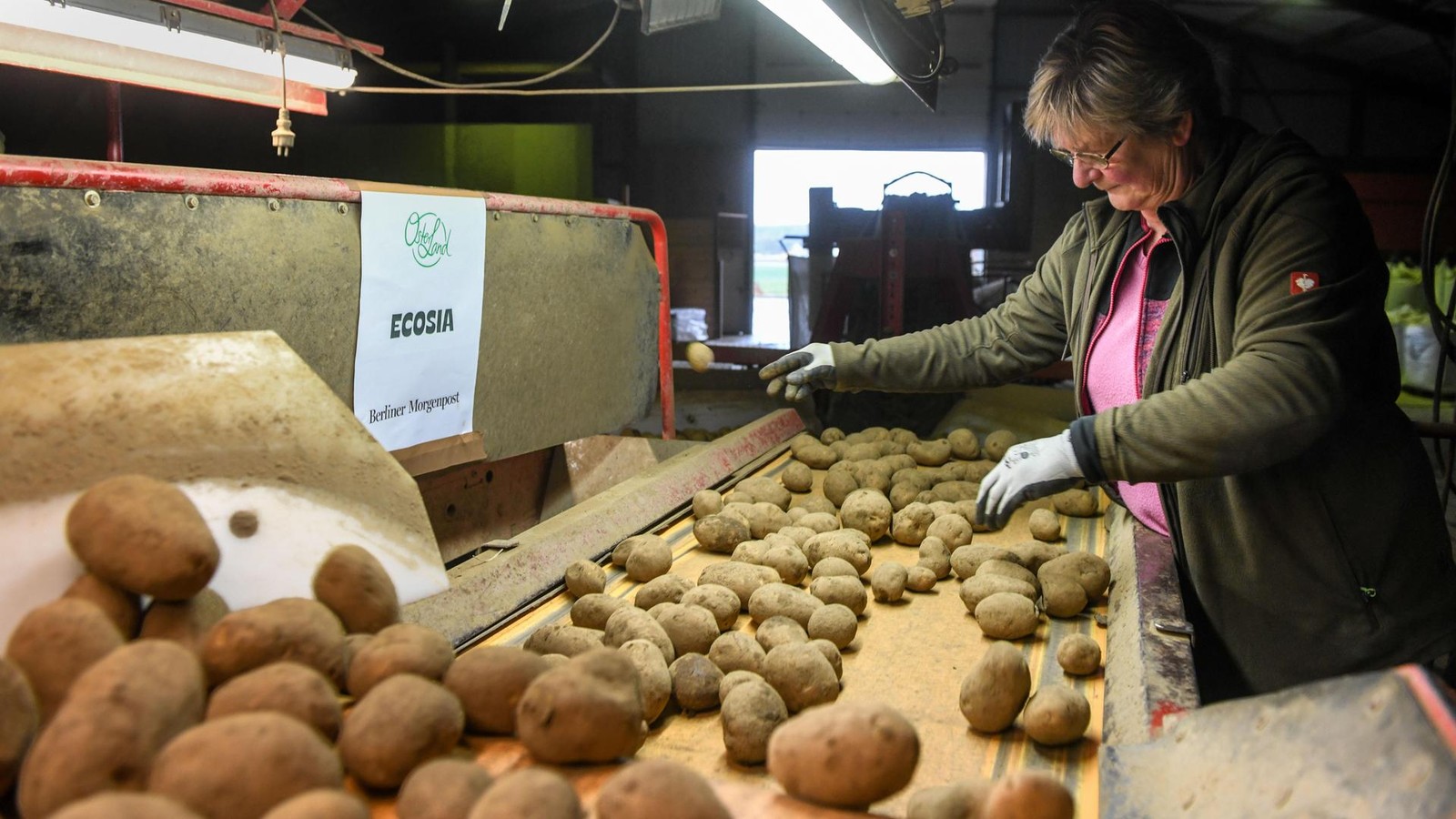 Fragen-und-Antworten-Was-Sie-zur-Kartoffel-Aktion-der-Morgenpost-wissen-m-ssen