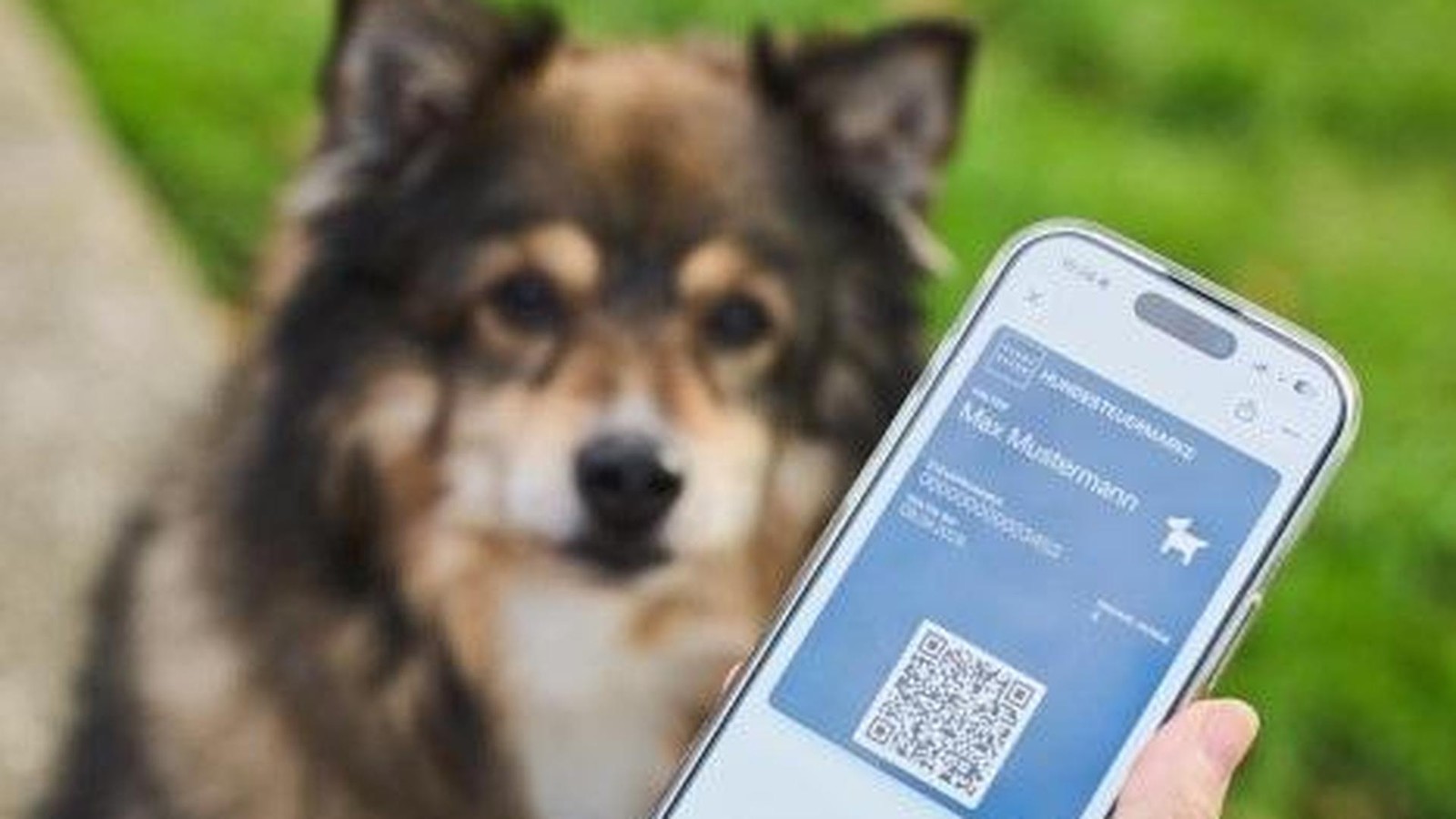 Metall-Marke-ad-In-Essen-gibt-es-jetzt-nur-noch-eine-digitale-Hundesteuermarke