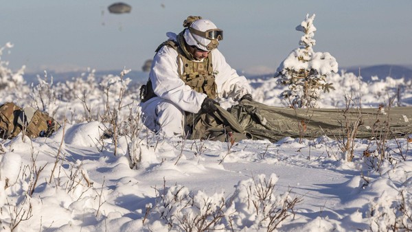 US-Militäreinsatz gegen Grönland wäre „nach einer halben Stunde vorbei“