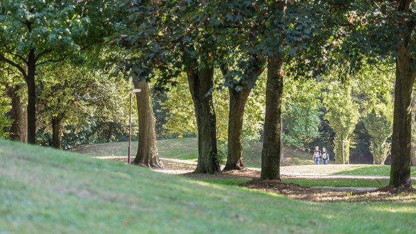 Brutaler Angriff – Mädchengruppe schlägt Jugendliche (14) zusammen
