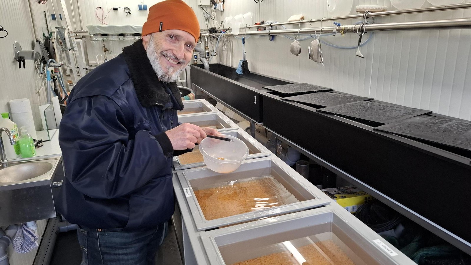 -Hier-stimmt-was-nicht-Reproduktion-bei-Bachforellen-in-der-Saale-gest-rt