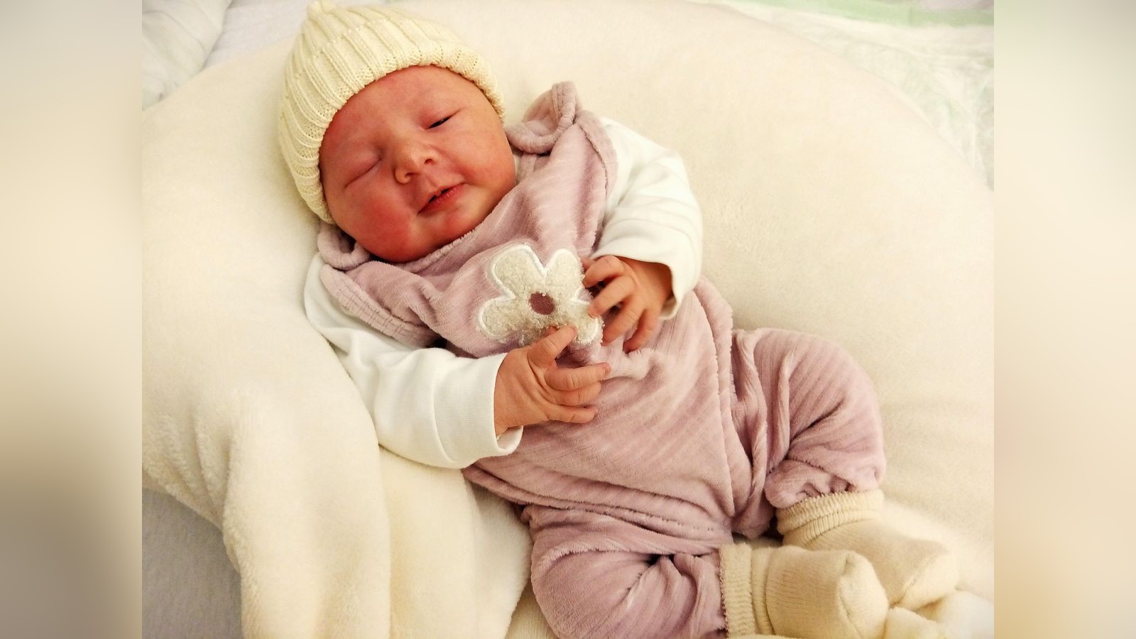 Babygalerie-f-r-den-Kyffh-userkreis-2026