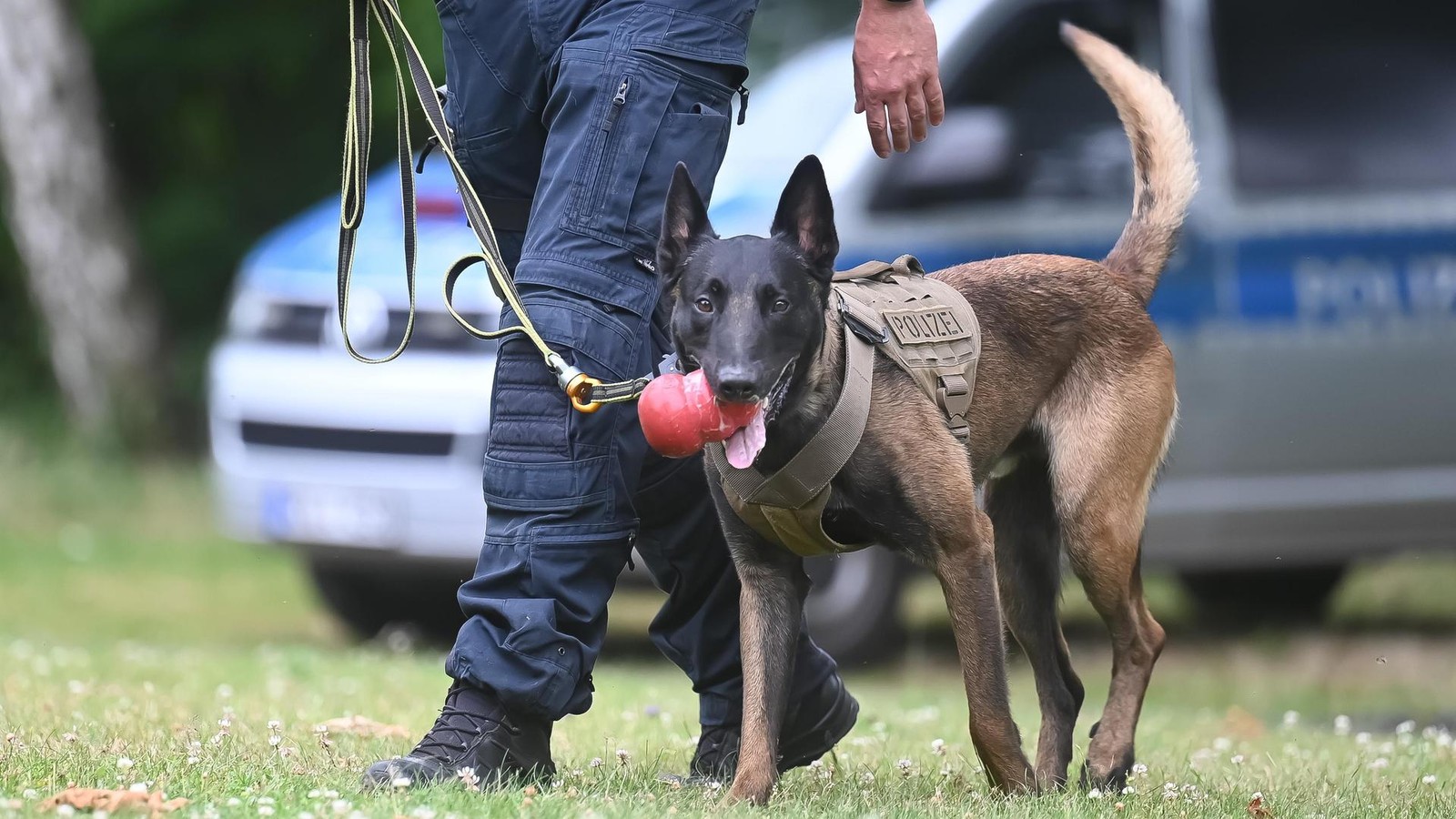 Hinweis-aus-dem-Umfeld-Suche-nach-Patrick-S-36-nimmt-ein-gutes-Ende