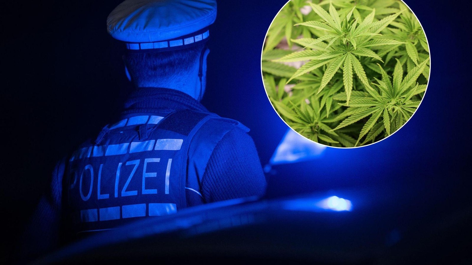 Kyffh-userkreis-ber-20-Cannabispflanzen-im-Gew-chshaus-der-Eltern-doch-vor-der-Ernte-kommt-die-Polizei
