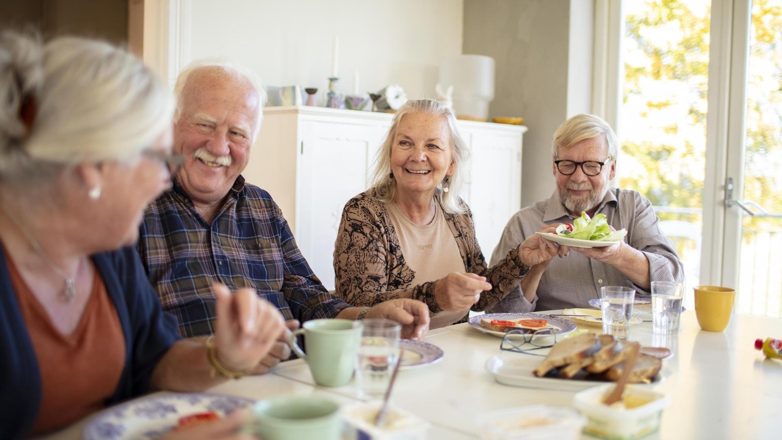 Studie-widerlegt-Vegetarier-Vorteil-dieses-Lebensmittel-hilft-im-Alter