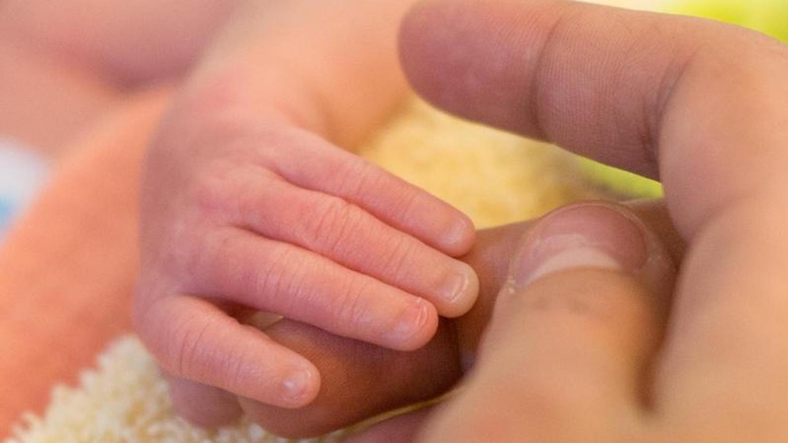 Altenburger-Land-Das-sind-die-beliebtesten-Vornamen-f-r-Babys