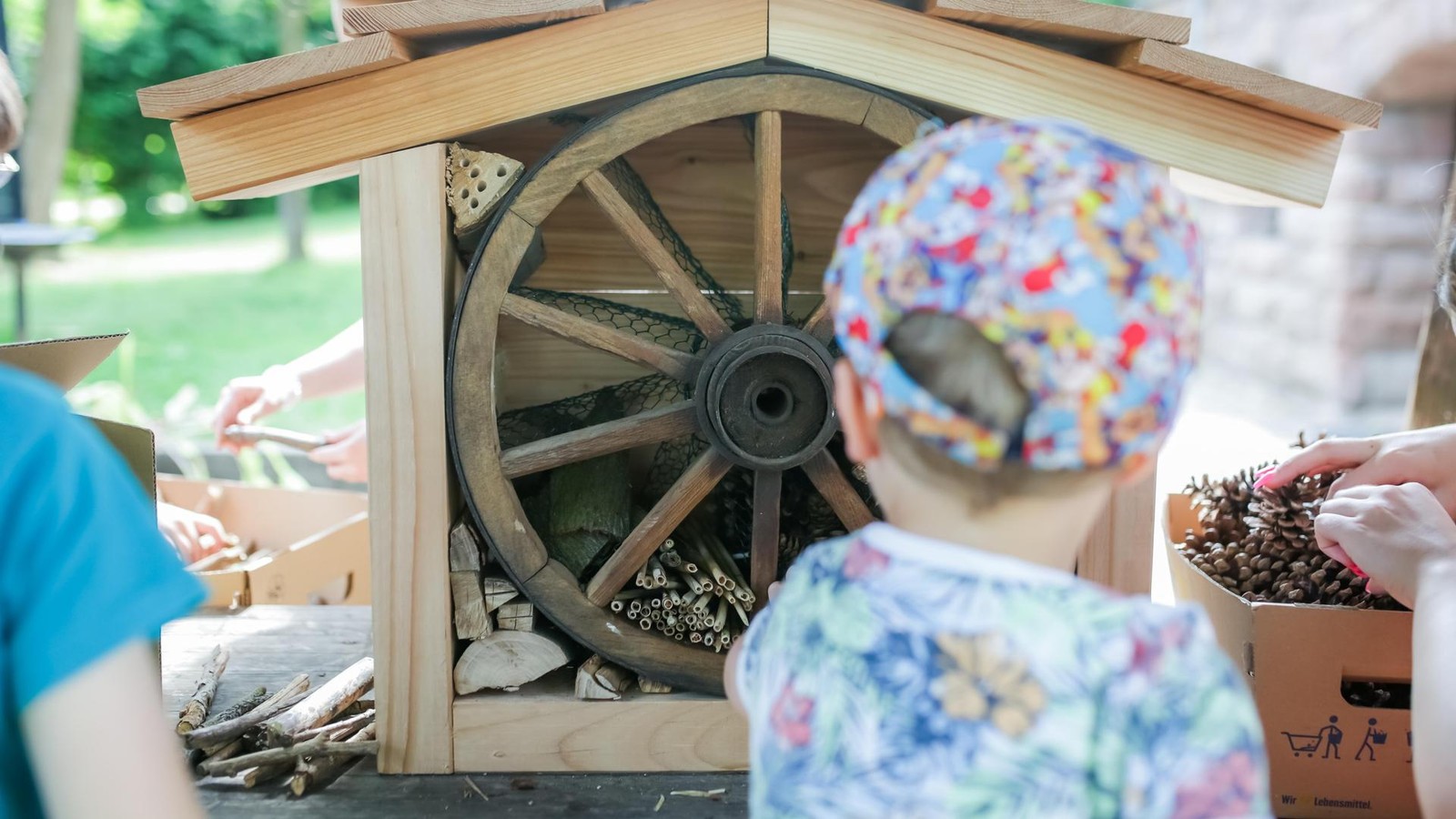Landesgartenschau-Leinefelde-Worbis-Darum-gibt-es-einen-Stundenplan-f-r-die-172-Schautage