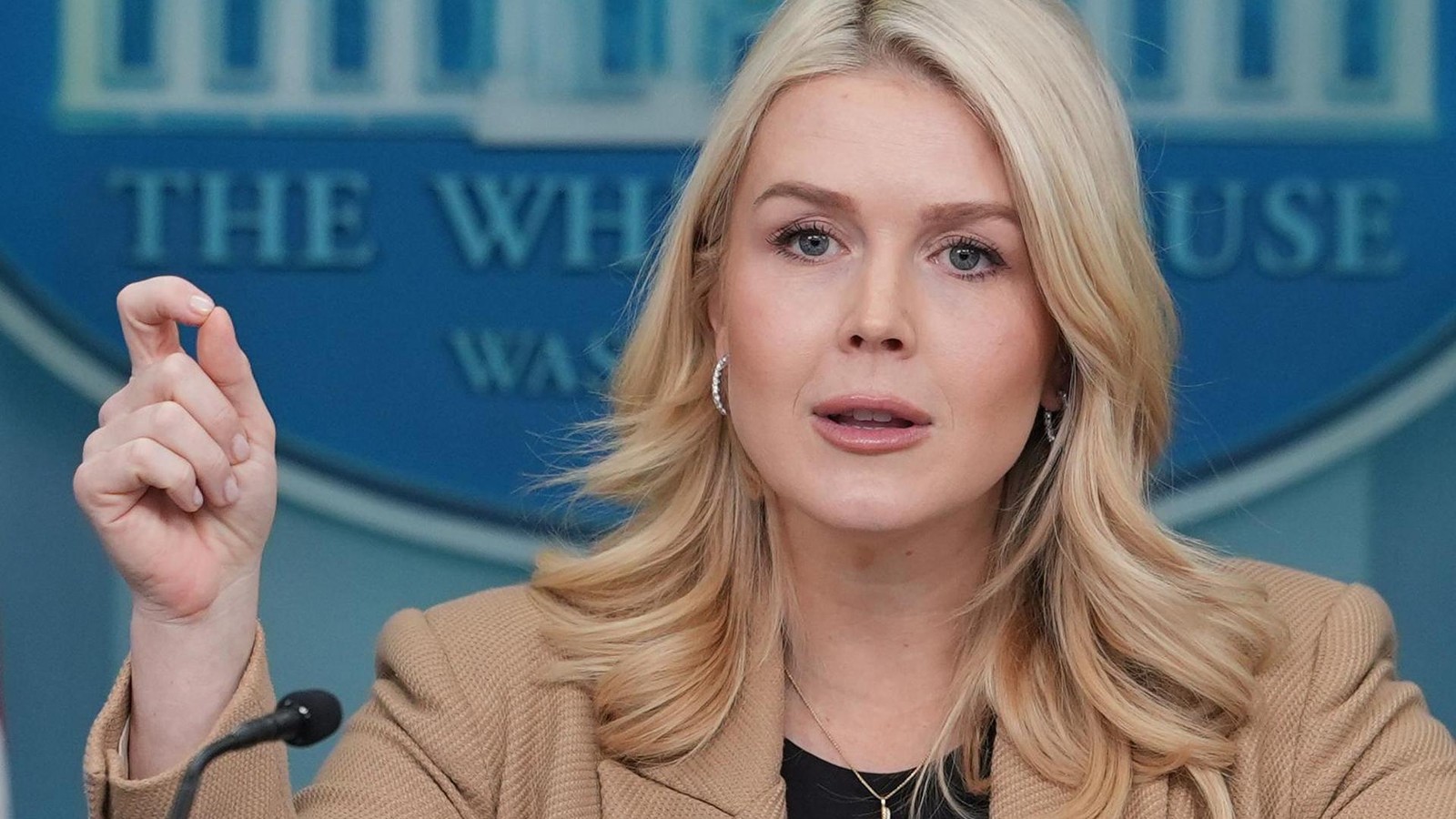 -Linker-Schmierfink-Trump-Sprecherin-Leavitt-beschimpft-Journalist-w-st