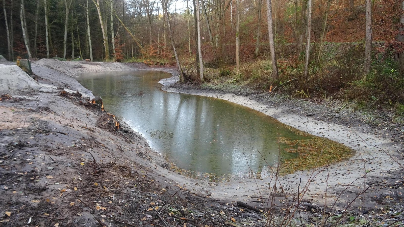 Saale-Holzland-Das-sind-die-Nachrichten-aus-der-Region
