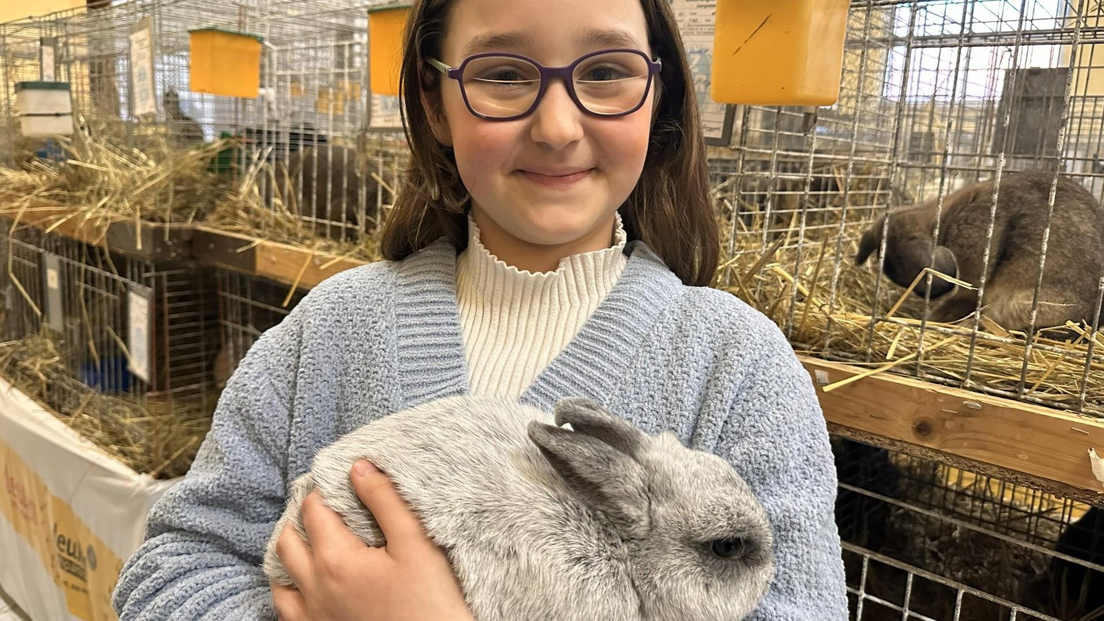 Saale-Holzland-Exakt-299-tierische-Sch-nheiten-tummeln-sich-in-diesem-Kulturhaus