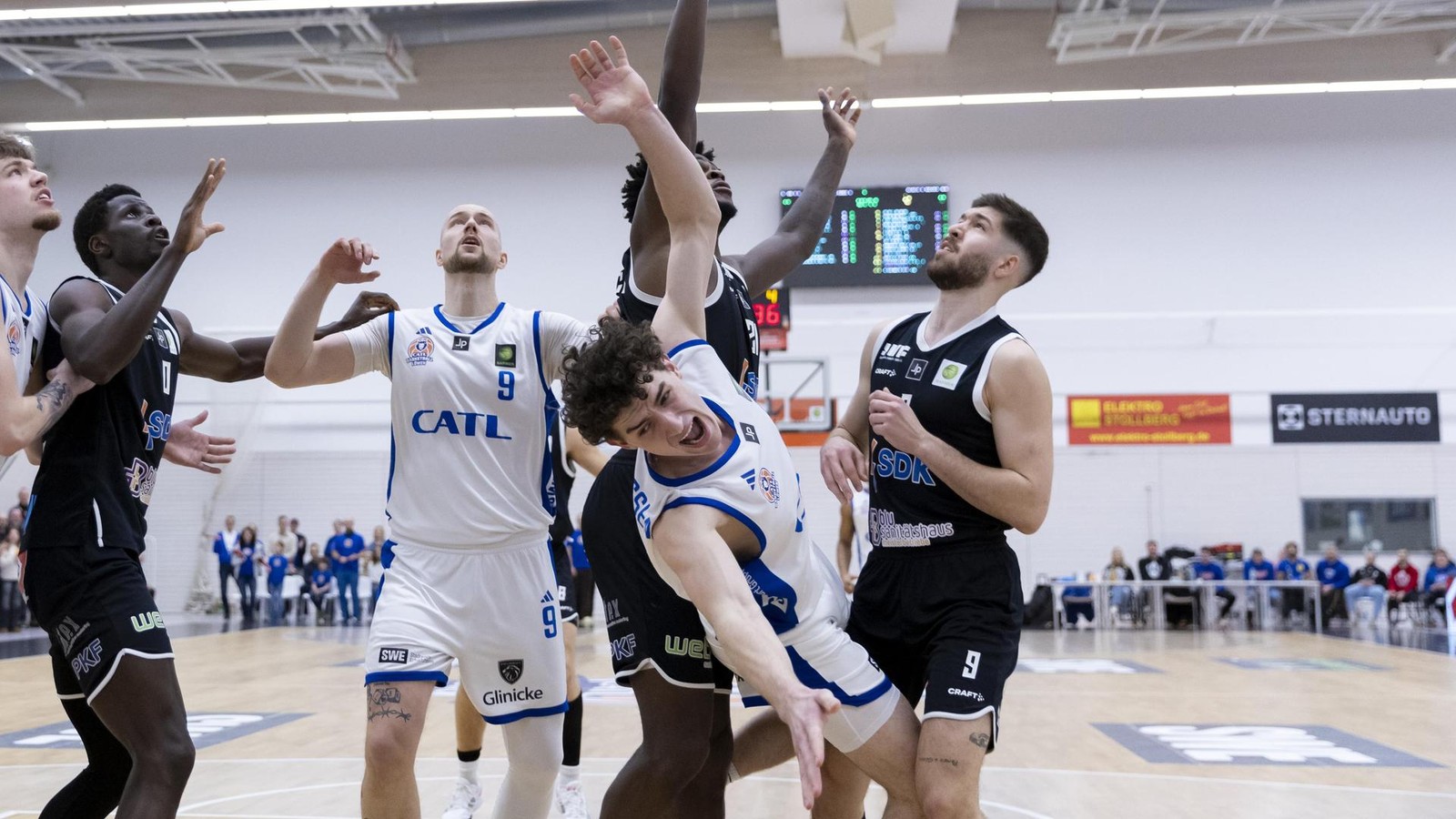 Basketball-L-wen-entt-uschen-daheim-Black-Dragons-mit-Krise-zur-Unzeit