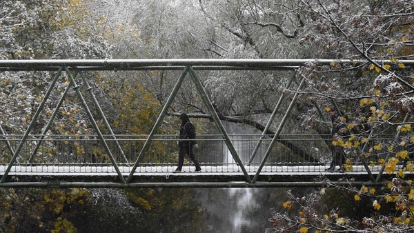 Fernwärme-Ausbau in Eimsbüttel: 22 Bäume müssen im Isebekpark gefällt werden