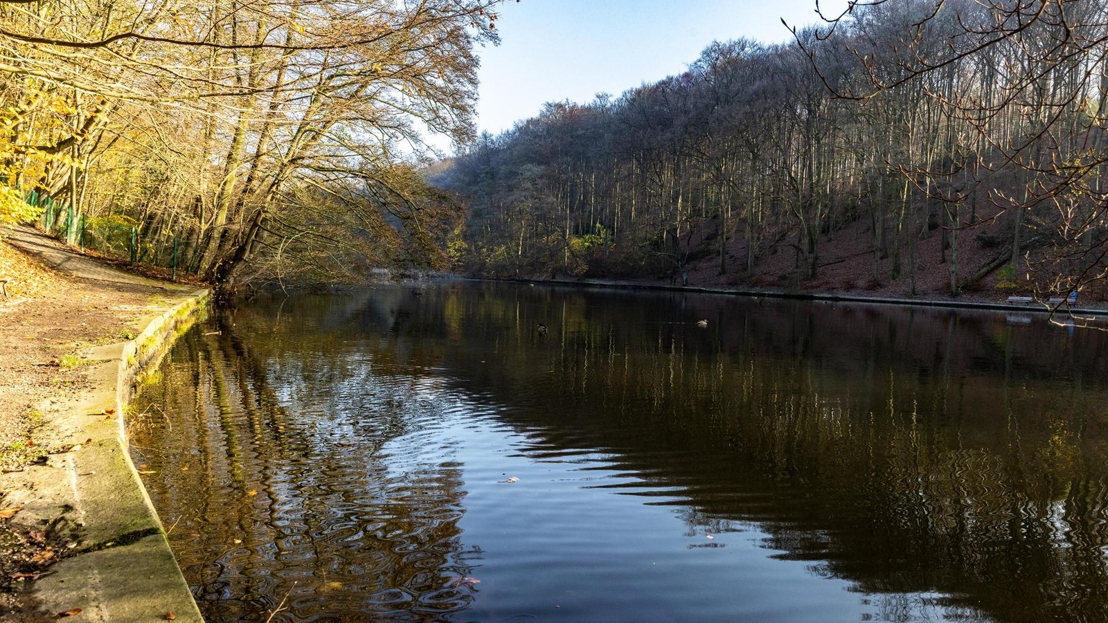 Entschlammung-vom-Hammerteich-Wieso-sich-die-Arbeiten-verz-gern