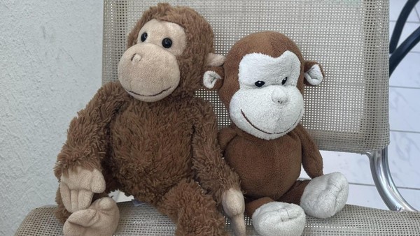 Hamburger (9) vermisst schmerzlich Kuscheltier: Wer hat Stoffaffe Babbi gesehen?